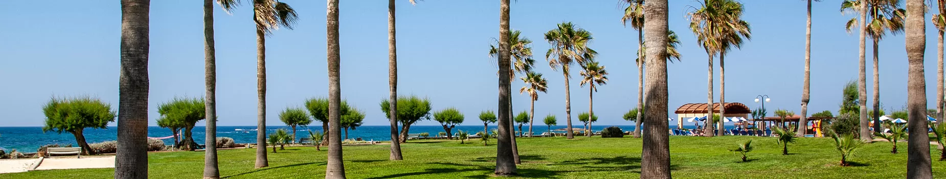 Palmen bij het strand van Malia